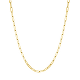 Golden Chili Horn + Capri Paperclip Set