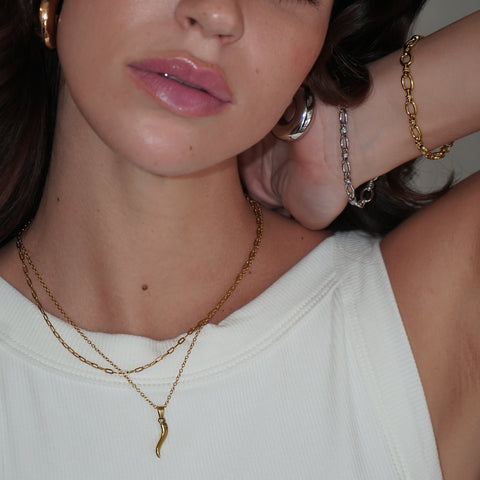 Golden Chili Horn + Capri Paperclip Set